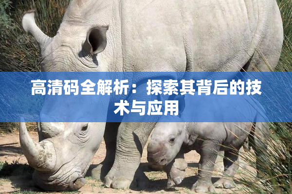 高清码全解析：探索其背后的技术与应用