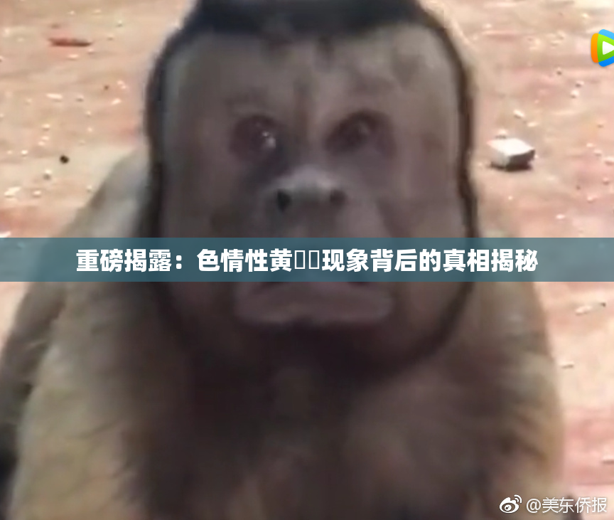 重磅揭露：色情性黄❌‌现象背后的真相揭秘