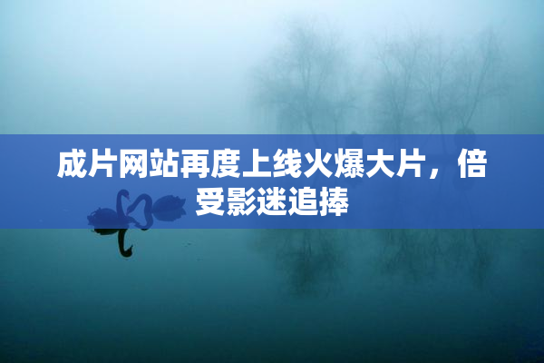 成片网站再度上线火爆大片，倍受影迷追捧
