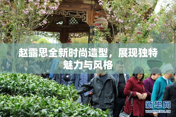 赵露思全新时尚造型，展现独特魅力与风格