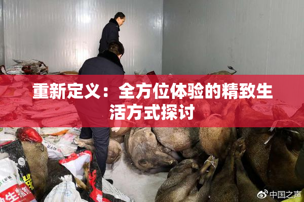 重新定义：全方位体验的精致生活方式探讨