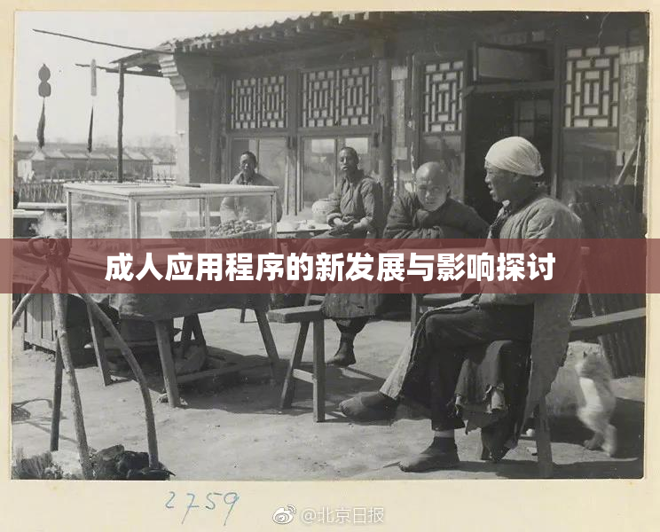 成人应用程序的新发展与影响探讨