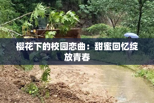 樱花下的校园恋曲：甜蜜回忆绽放青春