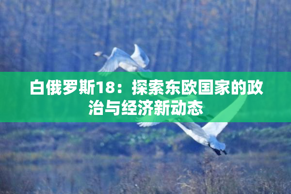 白俄罗斯18：探索东欧国家的政治与经济新动态