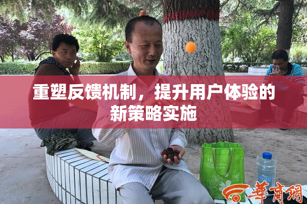 重塑反馈机制，提升用户体验的新策略实施