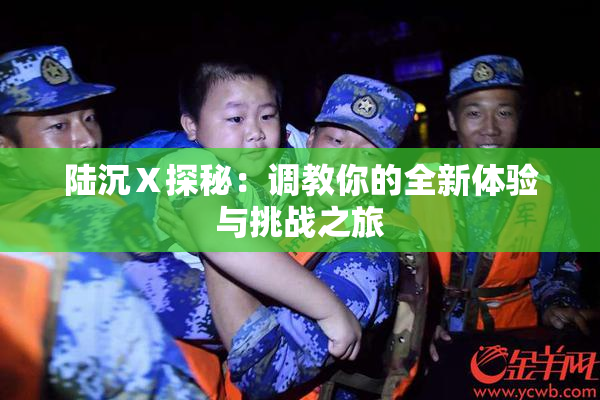 陆沉Ⅹ探秘：调教你的全新体验与挑战之旅