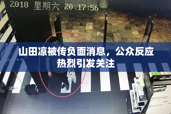 山田凉被传负面消息，公众反应热烈引发关注