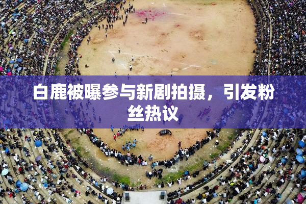 白鹿被曝参与新剧拍摄，引发粉丝热议