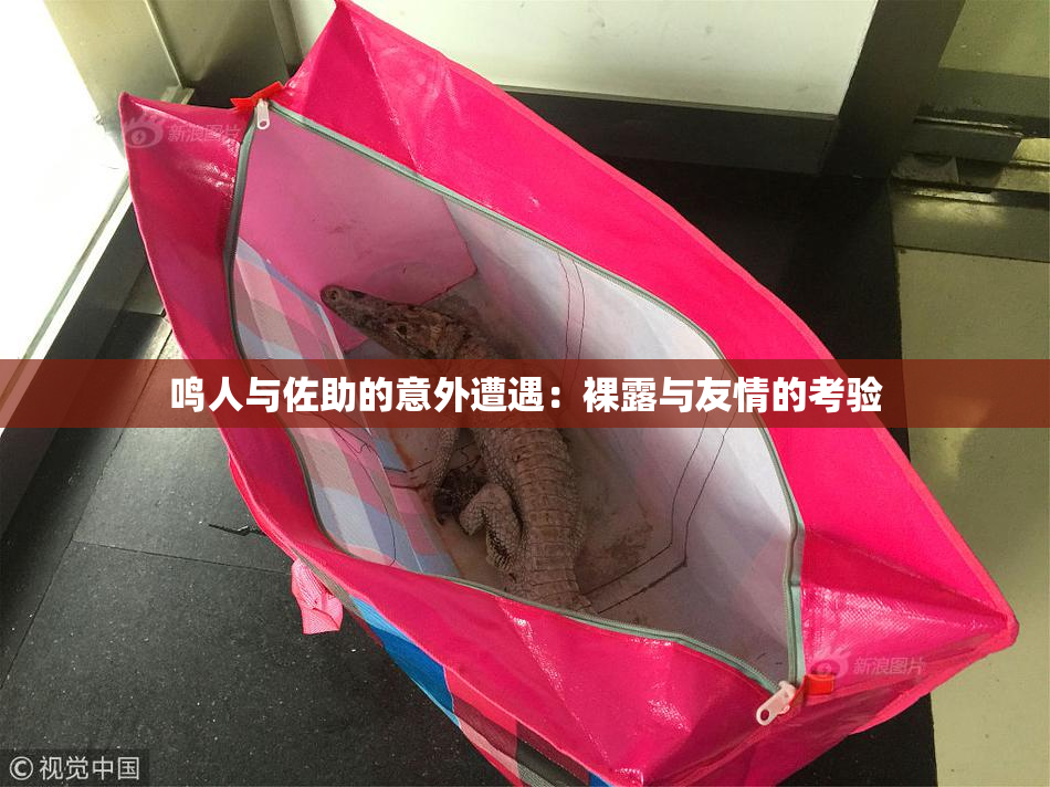 鸣人与佐助的意外遭遇：裸露与友情的考验