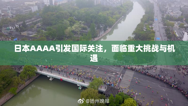 日本AAAA引发国际关注，面临重大挑战与机遇