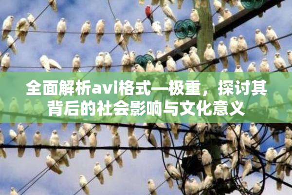 全面解析avi格式―极重，探讨其背后的社会影响与文化意义