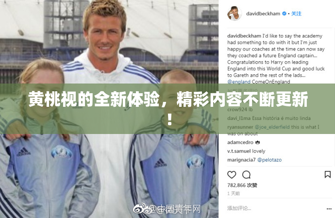 黄桃视的全新体验，精彩内容不断更新！