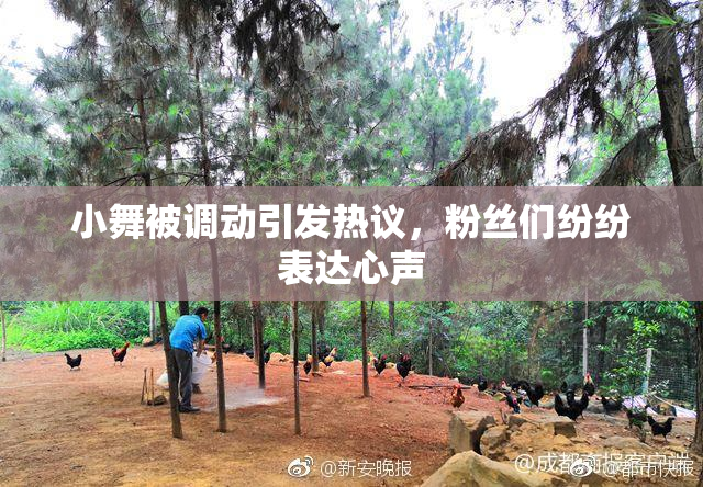 小舞被调动引发热议，粉丝们纷纷表达心声