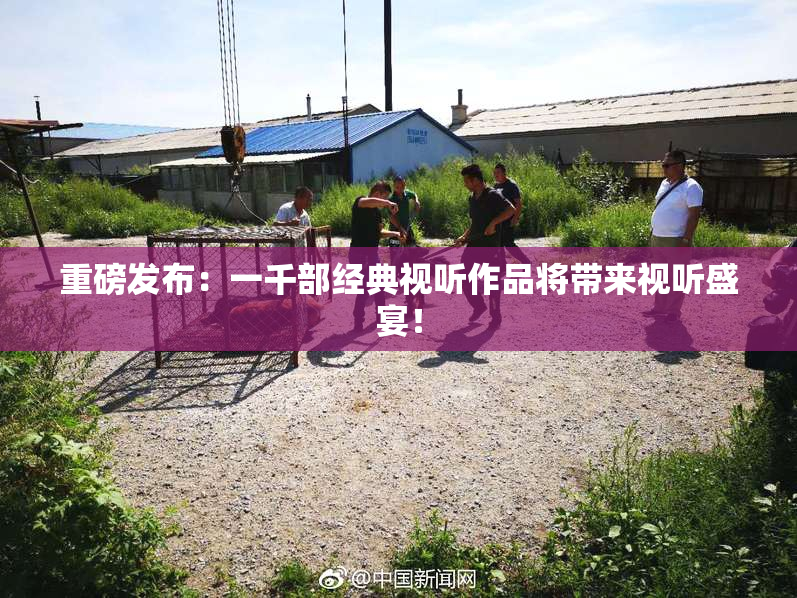 重磅发布：一千部经典视听作品将带来视听盛宴！