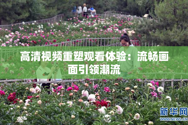 高清视频重塑观看体验：流畅画面引领潮流