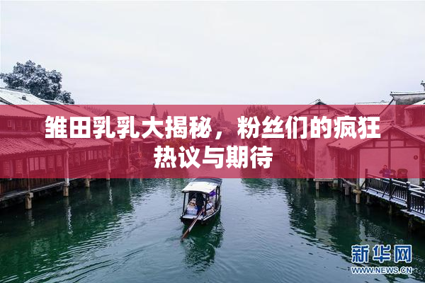 雏田乳乳大揭秘，粉丝们的疯狂热议与期待