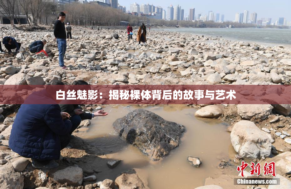 白丝魅影：揭秘裸体背后的故事与艺术