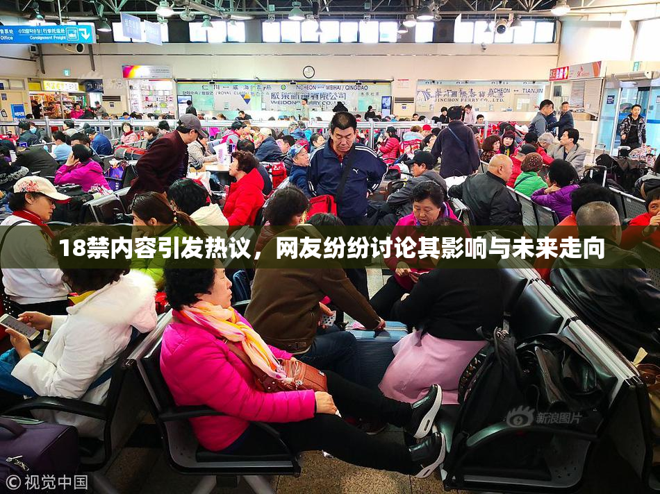 18禁内容引发热议，网友纷纷讨论其影响与未来走向