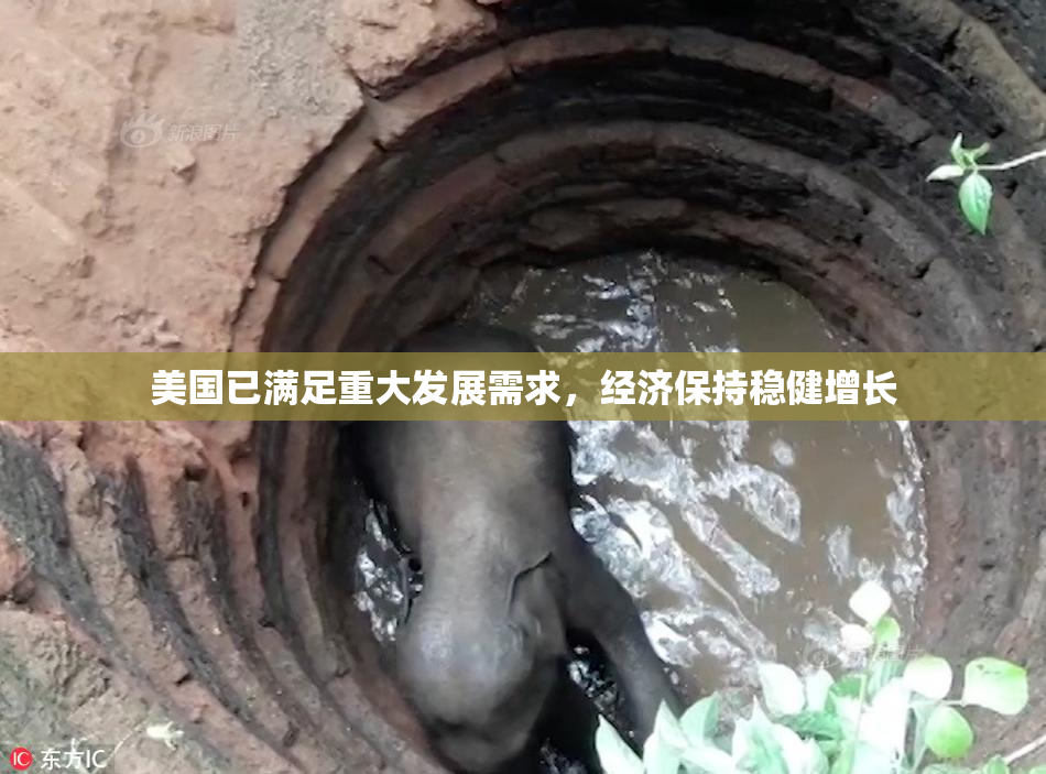 美国已满足重大发展需求，经济保持稳健增长