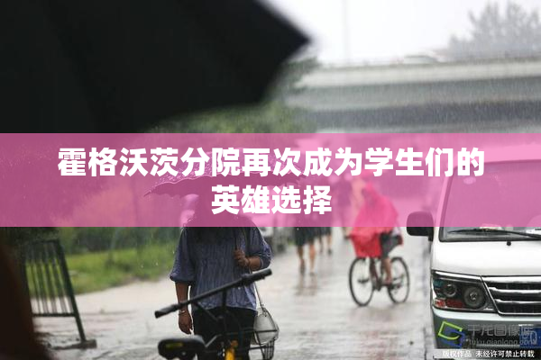 霍格沃茨分院再次成为学生们的英雄选择
