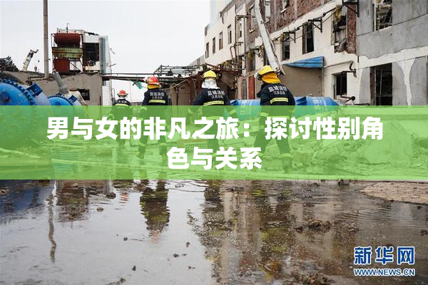 男与女的非凡之旅：探讨性别角色与关系