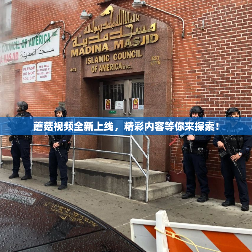 蘑菇视频全新上线，精彩内容等你来探索！