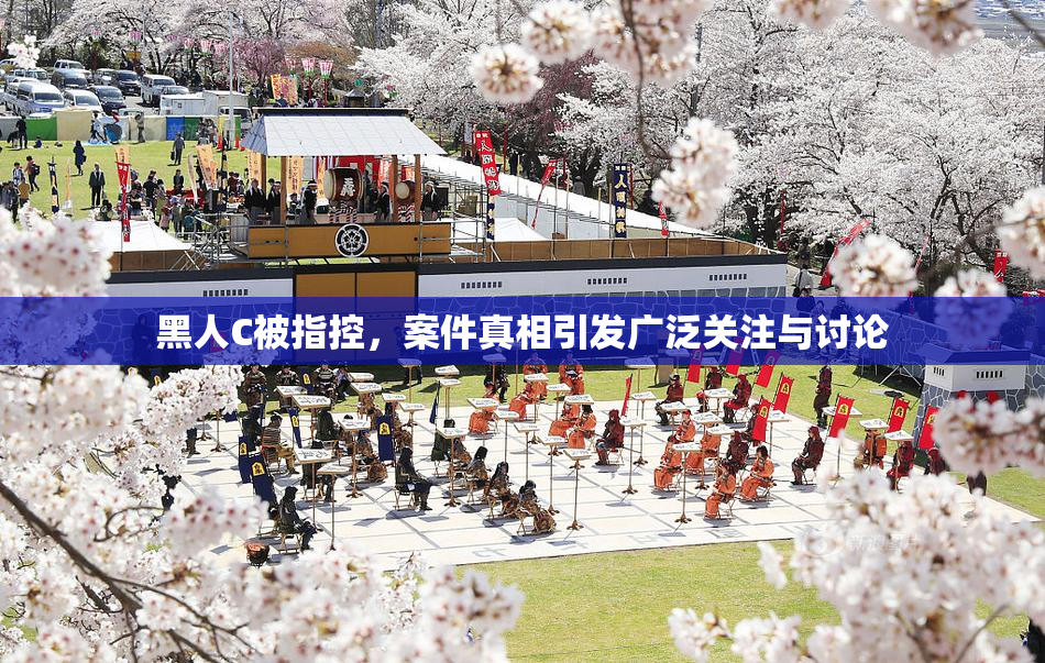 黑人C被指控，案件真相引发广泛关注与讨论