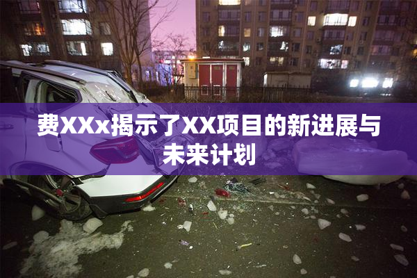 费XXx揭示了XX项目的新进展与未来计划