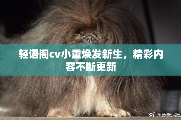 轻语阁cv小重焕发新生，精彩内容不断更新