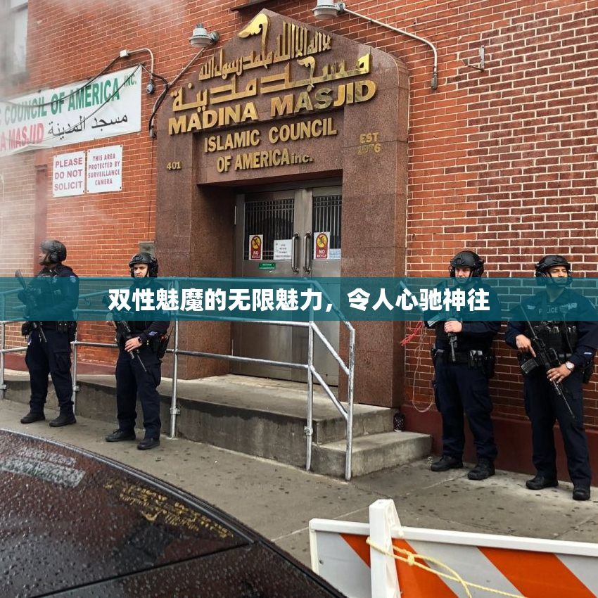 双性魅魔的无限魅力，令人心驰神往