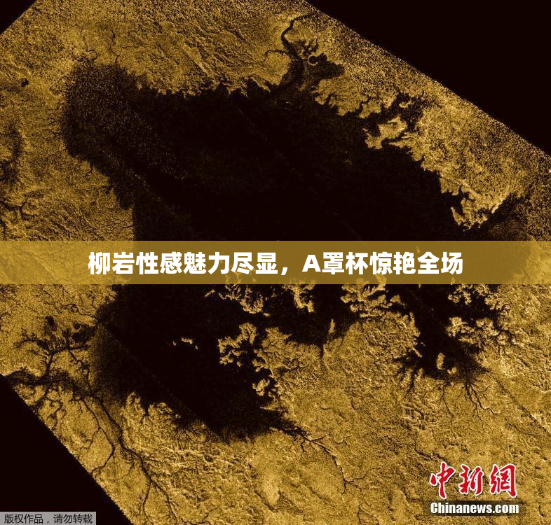 柳岩性感魅力尽显，A罩杯惊艳全场