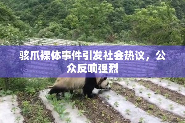 骇爪裸体事件引发社会热议，公众反响强烈