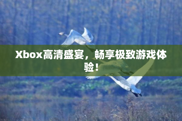 Xbox高清盛宴，畅享极致游戏体验！