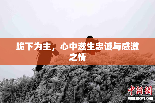 跪下为主，心中滋生忠诚与感激之情
