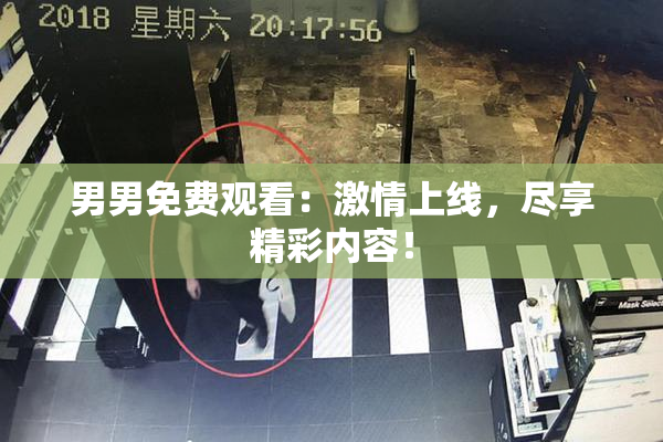 男男免费观看：激情上线，尽享精彩内容！