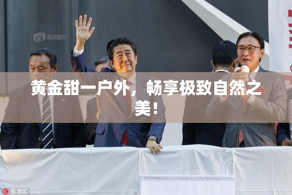 黄金甜一户外，畅享极致自然之美！