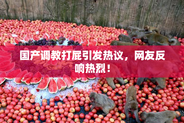 国产调教打屁引发热议，网友反响热烈！