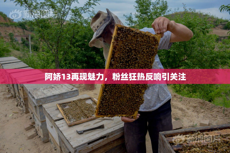 阿娇13再现魅力，粉丝狂热反响引关注