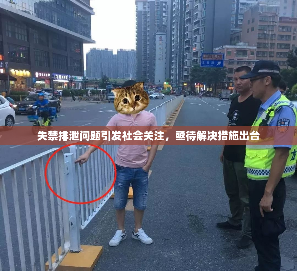 失禁排泄问题引发社会关注，亟待解决措施出台