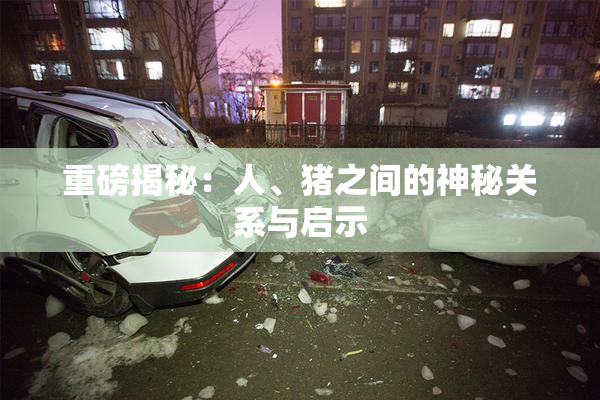 重磅揭秘：人、猪之间的神秘关系与启示