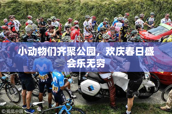 小动物们齐聚公园，欢庆春日盛会乐无穷