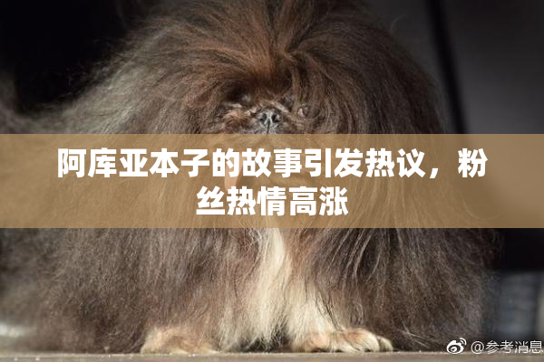 阿库亚本子的故事引发热议，粉丝热情高涨