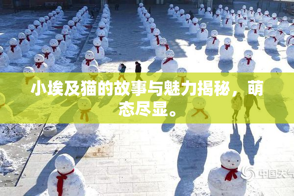 小埃及猫的故事与魅力揭秘，萌态尽显。