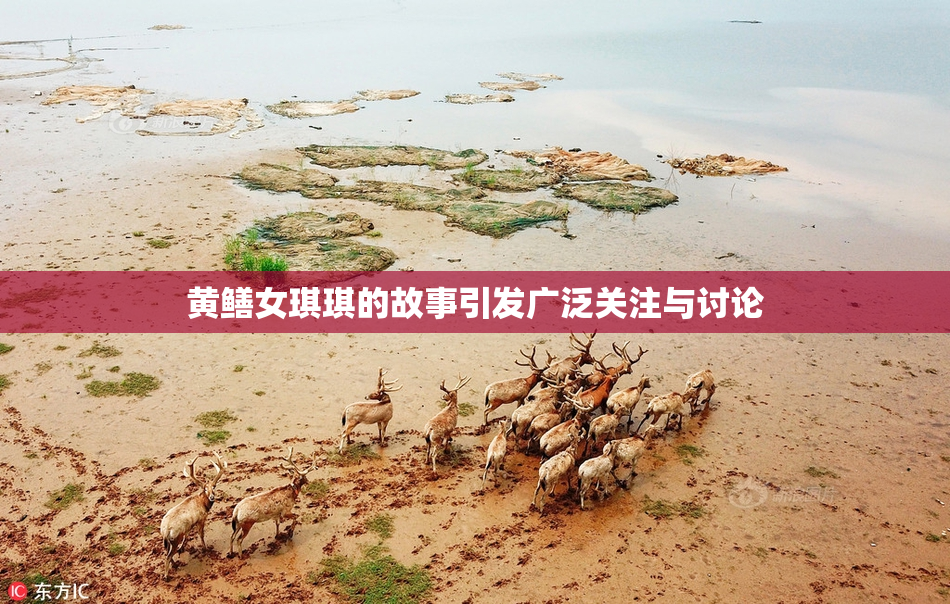 黄鳝女琪琪的故事引发广泛关注与讨论