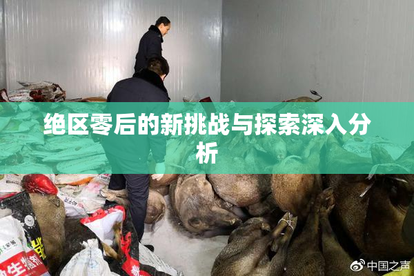 绝区零后的新挑战与探索深入分析