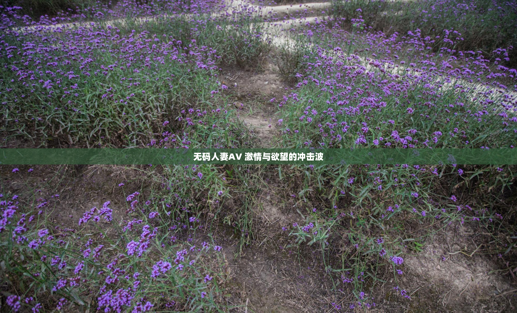 无码人妻AV 激情与欲望的冲击波