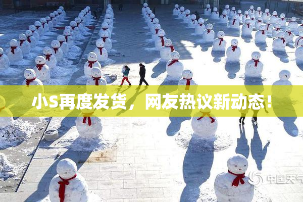 小S再度发货，网友热议新动态！