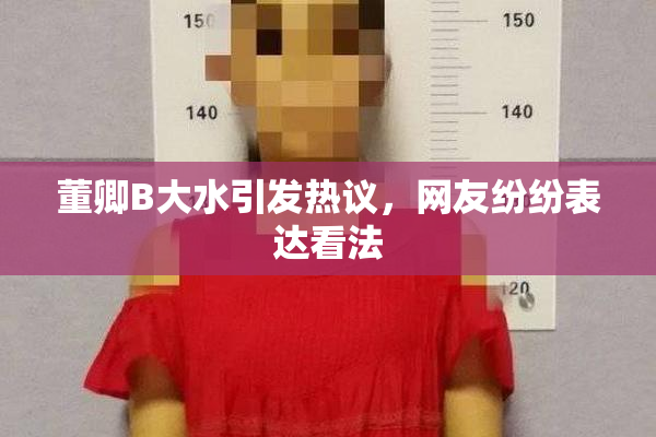 董卿B大水引发热议，网友纷纷表达看法