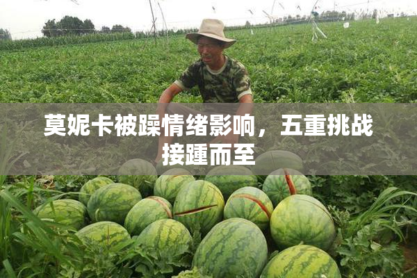 莫妮卡被躁情绪影响，五重挑战接踵而至
