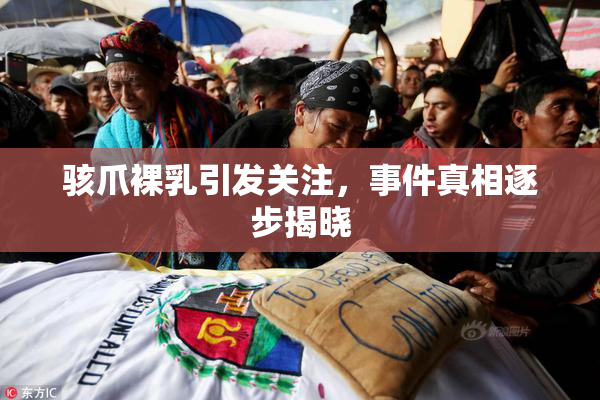 骇爪裸乳引发关注，事件真相逐步揭晓
